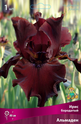 Корневище Ирис бородатый Альмаден 1шт