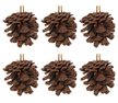 Набор украшений Шишки 6шт 4,5см, натуральные, SYSGA-4922084