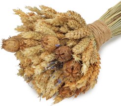 Букет декоративный из колосовых культур (пшеница, лаванда, нигелла) 50см