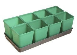 Набор для рассады Greengo 8 стаканчиков + поддон 36х18см