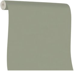 Обои Euro Decor Physalis 7308-12 1,06х10м фон