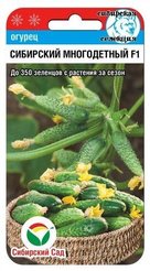 Семена Огурец Сибирский многодетный 7шт