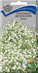 Семена Гипсофила метельчатая Снежинка