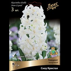 Луковицы Гиацинт махровый Сноу Кристал 3шт