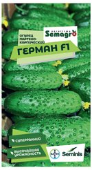 Семена Огурец Герман F1 Sеminis 5шт
