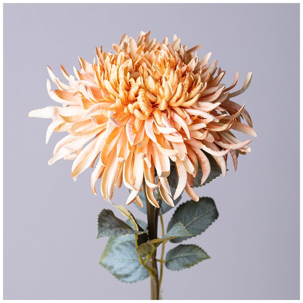Цветок искусственный Астра кремовая 62см