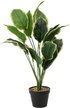 Растение искусственное Plant claims Croton lake 11374 в кашпо 65x70x70см