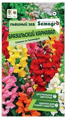 Семена Львиный Зев Бразильский Карнавал 