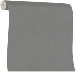 Обои Monte Solaro House 9287-14 1,06х10м фон