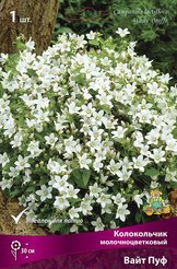 Корневище Колокольчик молочноцветковый Вайт Пуф 1шт