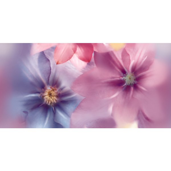 Декор У Климатис D1 син.цветы (ВС9КТ003d1) 24,9х50 (шт)