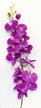 Орхидея Фаленопсис одиночная фиолетовая 124см