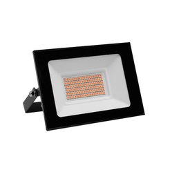 Фитопрожектор светодиодный Camelion LFL-3005 C02 черный 30Вт красно-синий спектр