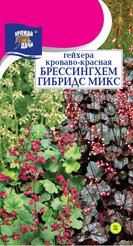 Семена Гейхера Брессингхем Гибридс микс 0.05г