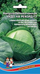 Семена Капуста бк Чудо на рекорд 0,3г
