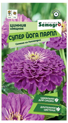 Семена Цинния изящной Супер Йога Парпл Semagro 20шт