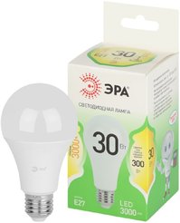 Лампочка светодиодная ЭРА GREEN LINE LED A65-30W-830-E27 GL E27 30 Вт груша теплый свет