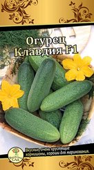 Семена Огурец Клавдия 10шт