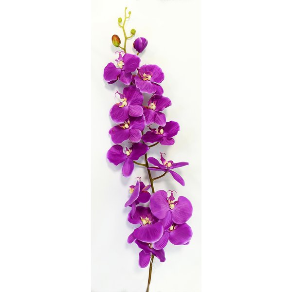 Орхидея Фаленопсис одиночная фиолетовая 124см