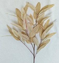 Ветка искусственная Эвкалипт бежевый 80см