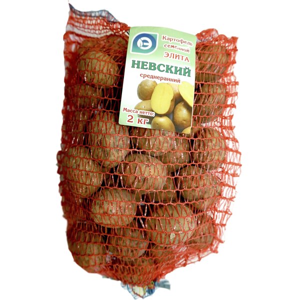 Картофель семенной 2кг сорт Невский