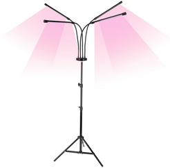 Светильник для растений светодиодный с таймером, на штативе ULT-P32-36W/SPLE/TM/40 IP40 BLACK QUAD Спектр для 