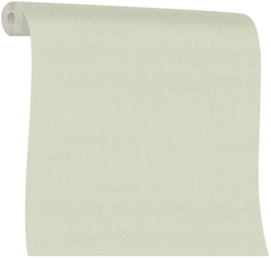 Обои Monte Solaro House 9287-21 1,06х10м фон