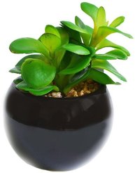 Растение иск.Суккулент Толстянка в кашпо 16см