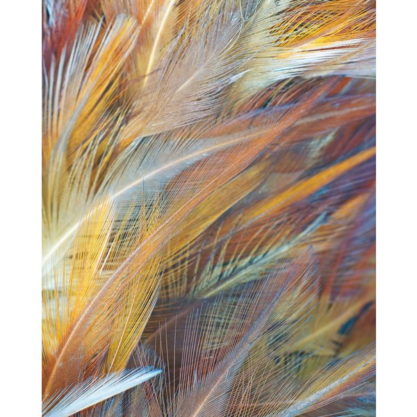 Картина на стекле Воздушные перья I 40х50