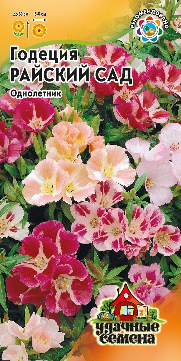 Семена Годеция Райский сад смесь 0,1г 393520 купить с доставкой в ...