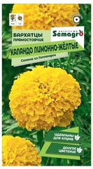 Семена Бархатцы прямостоячие Каландо лимонно-жёлтые