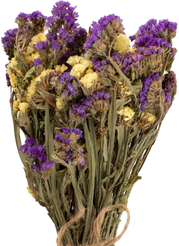 Букет декоративный Статица 33см