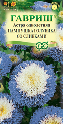 Семена Астра Пампушка голубика со сливками 0,3г