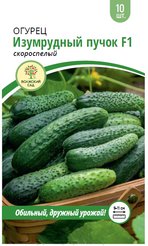 Семена Огурец Изумрудный пучок 10шт