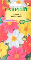 Семена Георгина Миньон (смесь)