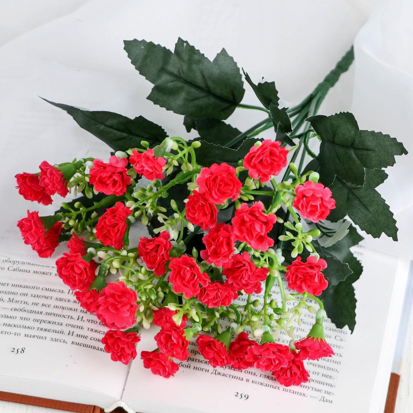 28 гвоздик. Гвоздика диантус красная. Гвоздика диантус красная. 28 гвоздик. Азербайджан гвоздики 26 февраля.