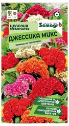 Семена Целозия гребенчатая Джессика микс