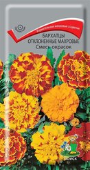 Семена Бархатцы отклоненные махровые Смесь окрасок