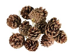 Украшение SYSG17-032 шишки золото (12шт)