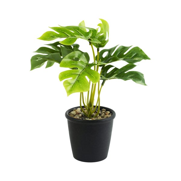 Растение декоративное искусственное Зеленое в кашпо 23х17х17см