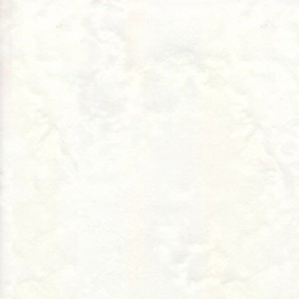 Плит.Н д/с Толедо 20х20 белый (14-10-00-019) (1,00)уп