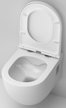 Унитаз подвесной AM.PM Like FlashClean C801701SC с сиденьем микролифт