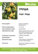 Саженец Груша летняя Лада (2-летка) ЗКС,частично самоплодный