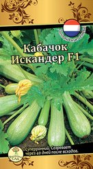 Семена Кабачок Искандер 5шт