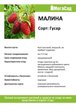 Саженец Малина Гусар в коробке