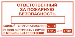 Табличка Ответственный за пожарную безопасность 200х100мм