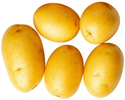 Картофель семенной 2кг сорт Мадейра
