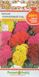 Семена Целозия гребенчатая Коралловый сад
