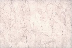 Плит.Ш д/с Ладога 20х30 палев.(1,44)уп