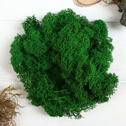 Мох стабилизированный Зелёный 45гр (+-5 гр)